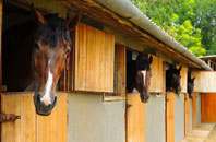 free Lady Halton stable construction quotes